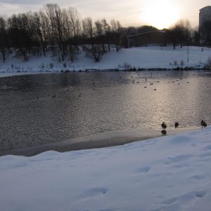 20101204_092425-Sunderland-43bd68.jpg
